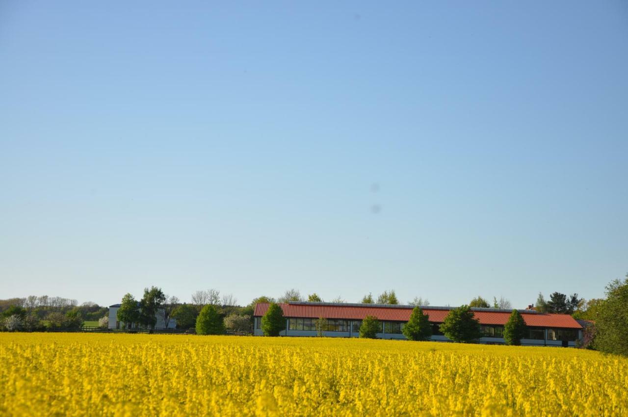 FEWO Reitanlage bei Altefähr Rambin Exterior foto